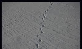 Seguendo le tracce della mediazione. Appuntamenti a Torino e Milano