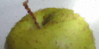 MediAlanum: un po’ di vita vera