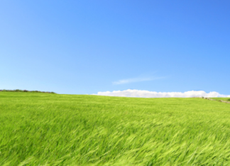 Una prospettiva europea per la mediazione ambientale (14 luglio 2016- Milano)