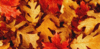 Autunno di mediazione: tre appuntamenti da non perdere