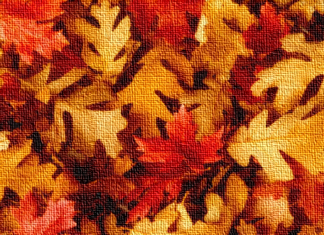 Autunno di mediazione: tre appuntamenti da non perdere