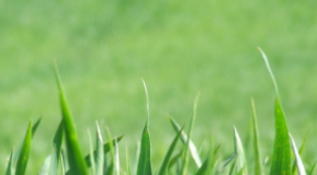 Mediazione delle controversie ambientali: prime considerazioni sull’esperienza CAM