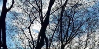 La giustizia riparativa e la mediazione penale; alcuni spunti per riflettere