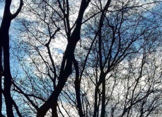 La giustizia riparativa e la mediazione penale; alcuni spunti per riflettere