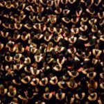 università-300×198