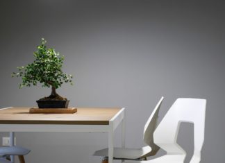 22 gennaio a Roma per parlare di mediazione ambientale