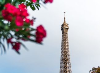 Bis australiano alla ICC Mediation Competition di Parigi