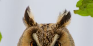 Tre cose da non dire mai ad un mediatore (e perché)