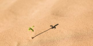 Mediazione ambientale: prevenire è meglio che riparare?