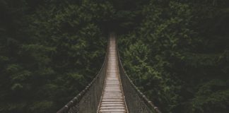 Integrative Law… di cosa stiamo parlando?