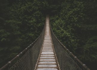 Integrative Law… di cosa stiamo parlando?