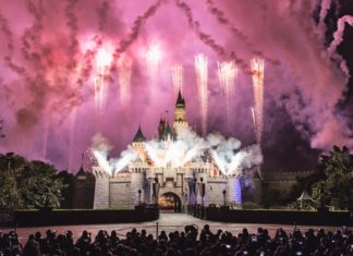 I mediatori vanno da Topolino (25° UIA FORUM)