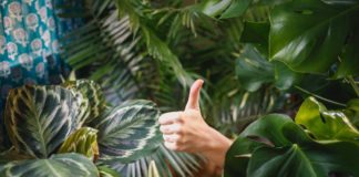 Mediazione delegata dal giudice: un’opzione vincente da mantenere