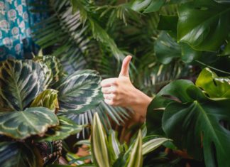 Mediazione delegata dal giudice: un’opzione vincente da mantenere