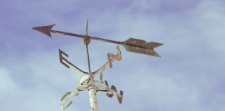 Lettera aperta di un avvocato disorientato