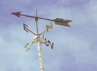 Lettera aperta di un avvocato disorientato