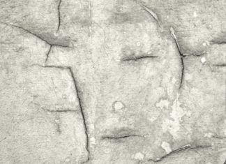 Il riconoscimento; una storia di visibilità