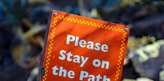 Comunicazione Non Ostile. Comunicare bene per vivere meglio.