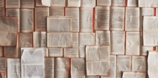 MEDIAZIONE E NORMA UNI