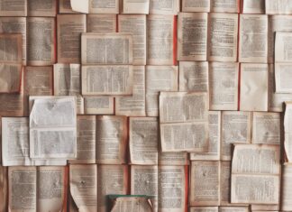 MEDIAZIONE E NORMA UNI