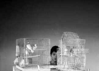 Mediazione: una “Terra di mezzo” anche per l’arte