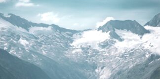 Mediators Green Pledge: un impegno per l’ambiente