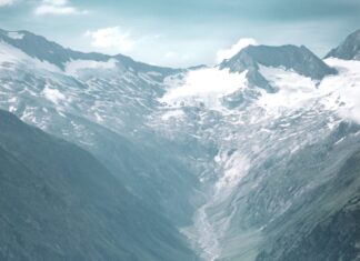 Mediators Green Pledge: un impegno per l’ambiente