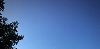 3 marzo 2021: verso una Fondazione per la mediazione