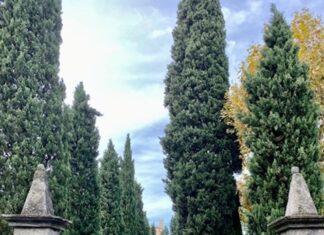 Mediazione ambientale: un caso pratico