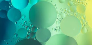 FacilitAmbiente: aperte le selezioni per i facilitatori