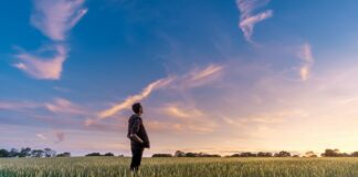 Patto di famiglia e mediazione: alcune considerazioni su un’unione dalle grandi potenzialità