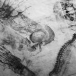 joyce-mccown-LAEPsbXOhIM-unsplash