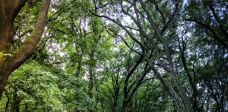 Mediazione: qualche suggerimento per gli avvocati (e per i clienti)