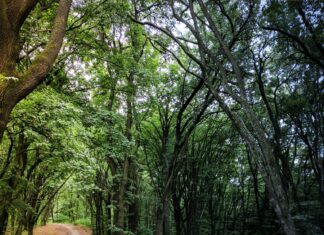 Mediazione: qualche suggerimento per gli avvocati (e per i clienti)