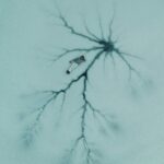 evgeny-ozerov-GYd-U2XMRcc-unsplash